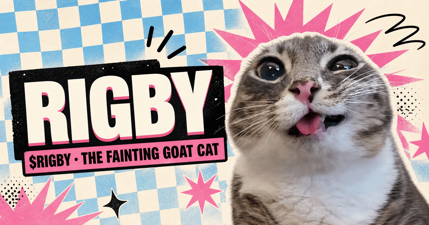 Rigby, the fainting goat cat